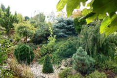 p1090510